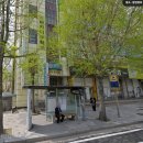 청춘목욕탕 | 성남 분당 정자동 청춘목욕탕 사우나 세신