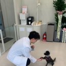 북부동물병원 이미지