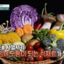 숲속의요정 이미지