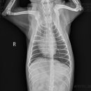 보현동물병원 이미지