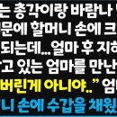 (신청사연) 셋방사는 총각이랑 도망간 엄마 때문에 할머니 손에 크게 되고 검사가 되는데.. 이미지