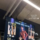 다이나짐 이미지