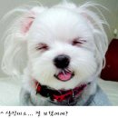 웃으면복이와요 이미지