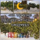 햇빛농장 | 제주 서귀포가볼만한곳 하례감귤체험농장 귤따기체험 후기