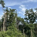 은주암 화장실 이미지