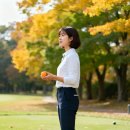 마틴골프 - 성남시 분당구 판교역로146번길 20 | 마틴캐럿 파크골프공 쓰리피스 내돈내산 후기