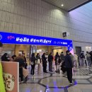 2025 코엑스 베페 베이비페어 방문 후기 및 사은품
