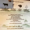 오호리준 광안리 브릿지점 | 광안리 이자카야 / 모츠나베 하이볼 맛집 오호리준 광안리점 후기 +우니, 야키토리