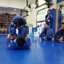 녹양코리아 이미지