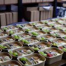 라이프박스 | 허벌라이프 기업행사 다과·박스케이터링 후기｜송도 담쓰도시락