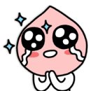 광장복어 이미지