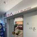 건강요가(월) | 마곡 젠요가 마곡센터 몸도 마음도 건강해지는 요가 명상 수업 추천