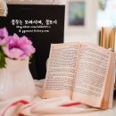 79파운야드(79FOUNYARD) 이미지