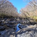 한라산 제2농장 이미지