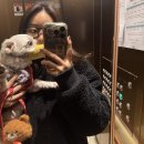 [일상포스팅] 발린이 백수의 새로운 아들을 찾은 일상