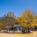 청송버스정류장 이미지