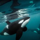 gc-camera-053 이미지