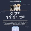 연산센터-24 이미지