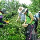 전국예능인노동조합 이미지