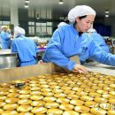 펫코노미 이미지