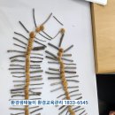 숲환경놀이지도사 이미지
