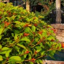 오대양육대주 이미지