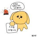 1월 둘쨋주 일기 : 매일이 생일