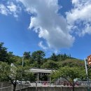금강해양 | 부산 금강공원, 해양자연사박물관, 아이랑 주말에 다녀온 후기.(들락날락 쉬는 날)