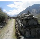 네팔 히말라야 코사인쿤드-랑탕계곡-체르고리 47 이미지