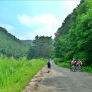 숲속계곡 이미지