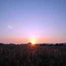 옥이수산 - 창원시 진해구 용원동로 223 | 옥이수산