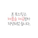 멕시카나화정옥빛점