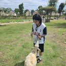 현진농장 | 산티아고 나짱 판랑투어