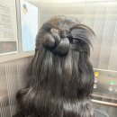 그레이스케일 대전 웨딩 촬영 후기