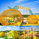 쌍충사 | 국내 11월 가볼만한곳 고흥유자축제 2025 전남 전라도 여행지 추천