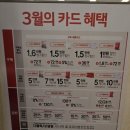 카베스트샵 이미지