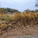 열린민원행정사사무소 이미지