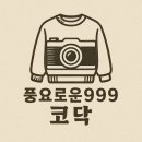 [코닥 반팔티] 가볍고 시원한데 빈티지한 감성까지! →씨너리 그래픽 반팔티셔츠 CHARCOAL