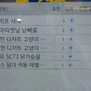 도그마캣포항