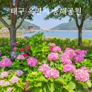 바람불어 좋은날 | 대구 달성 옥연지 송해공원 수국 분수 주차장 송해기념관 주변 맛집