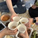 영주목장 이미지