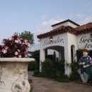 애코랜드 이미지