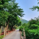 용하민박 이미지