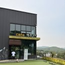 용인 애견카페 카페 별똥구리 후기