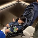 은솔사우나 | 아이와 여수 벨메르 호텔 후기(수영장, 조식)