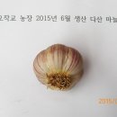 정도농장 이미지