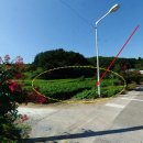 덕산개발 Daum카페