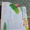 오송이화약국 | 베스티안병원에서 제일 가까운 약국[오송이화약국]