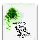 하이통번역센터