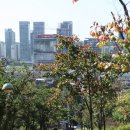 봉산약수터 이미지